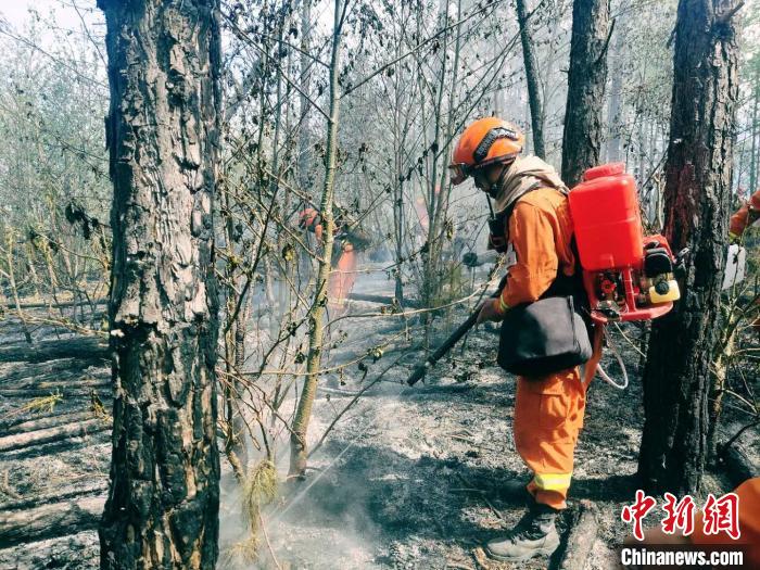 「丽江市」丽江龙蟠乡森林火灾东线已无明火 北线西线基本控制