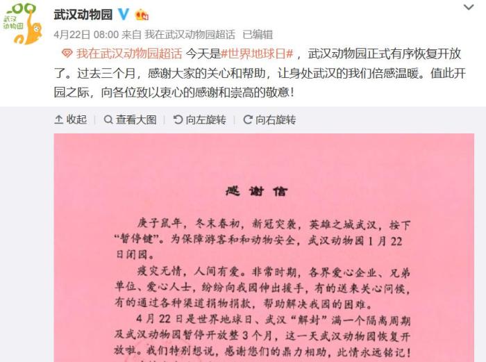 「武汉动物园」武汉动物园关闭3个月后重开 大熊猫“休假”胖了15斤