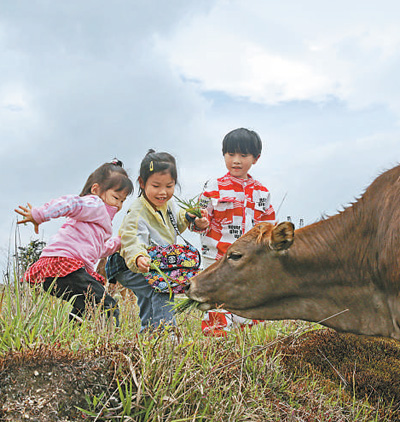 「假期」过一个健康安全的假期