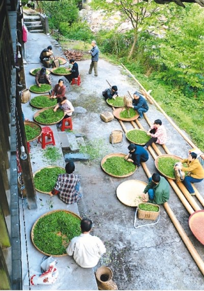 车间■扶贫小车间 致富大梦想