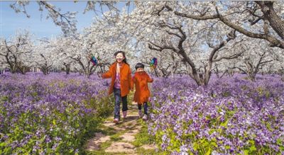 『春光』在明媚的春光里