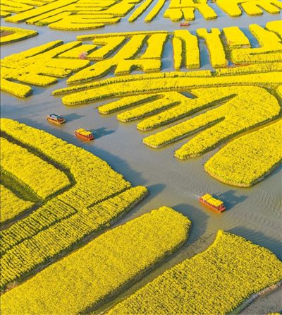 『春光』在明媚的春光里