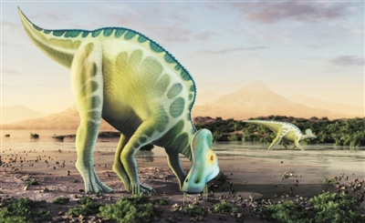 DNA测序千万年前DNA碎片或现身 是否来自恐龙存争议