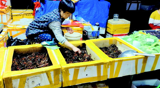 小龙虾小龙虾猛降价吃货们不买账 每斤便宜5元销量远不及去年
