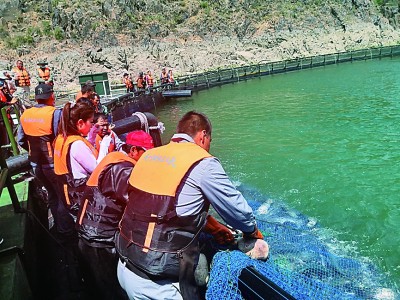 新疆|伊犁河上新“牧民”新生活