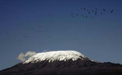 Flamingoes&nbsp;fly&nbsp;in&nbsp;Amboseli&nbsp;National&nbsp;Park&nbsp;near&nbsp;Mount&nbsp;Kilimanjaro,&nbsp;with&nbsp;an&nbsp;elevation&nbsp;of&nbsp;5,895&nbsp;meters&nbsp;(19,340&nbsp;ft),&nbsp;March&nbsp;22,&nbsp;2007.(Xinhua/Reuters&nbsp;Photo)