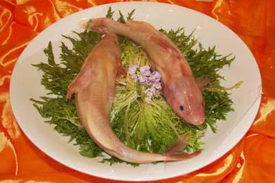 Hui&nbsp;fish&nbsp;in&nbsp;Yangtze&nbsp;River&nbsp;[Photo:&nbsp;CRIENGLISH.com]&nbsp;
