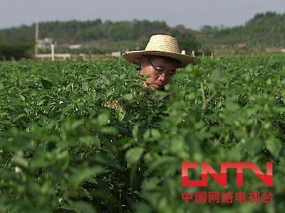 走进高一