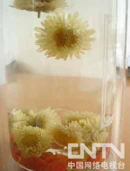 【夏日品茶】喝<em>掉</em>脂肪 教你泡制<em>减肥茶</em>-美食台