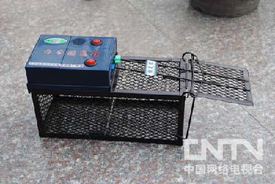 [我爱发明]电子捕鼠器