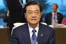 Hu addresses commodity prices, energy, food security in G-20 summit speech
