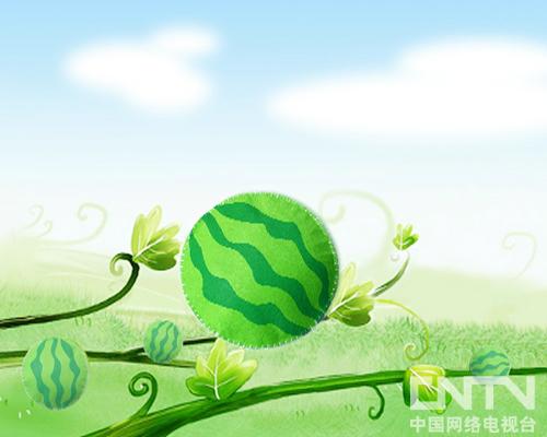 20130312 《形状变变变》:西瓜、皮球-小小智