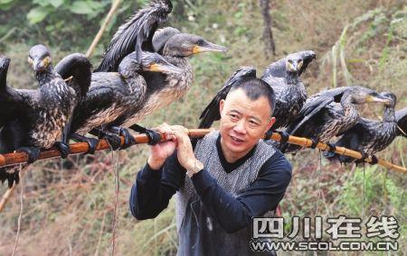 Xiao&nbsp;Cheng&nbsp;and&nbsp;his&nbsp;ospreys&nbsp;catch&nbsp;a&nbsp;big&nbsp;fish