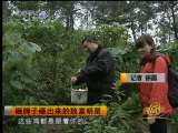 <a href=http://jingji.cntv.cn/20100914/100032.shtml target=_blank>[�¸���]�������ҳ������¸�����(2010.9.13)</a>