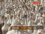 《县域经济报道》 20110829
