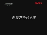 ��첿�� ��ֲ��������� �ɳ����� 20110913