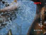 ���������硷 20111115