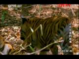 ���������硷 20111122