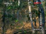 ���������硷 20111128