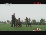 ���Զű�