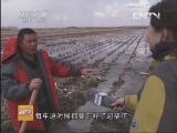 [聚焦三农]整期视频(20130507)_CCTV节目官网-CCTV17_央视网(cctv.com)