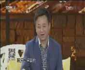 [艺术人生]黄晓娟母子互动游戏_CCTV节目官网-CCTV-3_央视网(cctv.com)