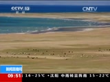 [新闻直播间]西藏申扎 探秘高原鸟岛：高原裸鲤洄游 鱼鸟相争_CCTV节目官网-CCTV-13_央视网(cctv.com)
