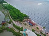 《将改革进行到底》 第六集 《守住绿水青山》