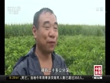 [中国新闻]台风“温比亚”北上 中国多地强降雨_CCTV节目官网-CCTV-4_央视网(cctv.com)