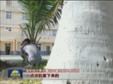 西沙守岛,官兵,青春热血,守海疆