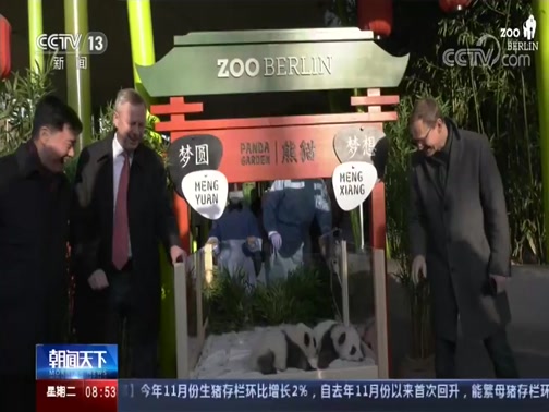 [朝闻天下]德国 柏林动物园为在德出生的熊猫宝宝举行命名仪式 大熊猫双胞胎取名“梦想”“梦圆”_CCTV节目官网-CCTV-13_央视网(cctv.com)