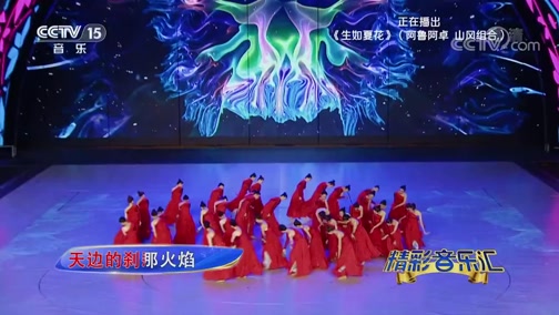 《中国音乐电视》 20200418