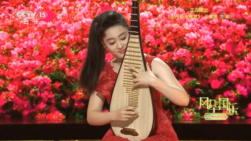 [风华国乐]《山丹花儿随想》 演奏：王紫溪_CCTV节目官网-CCTV-15_央视网(cctv.com)