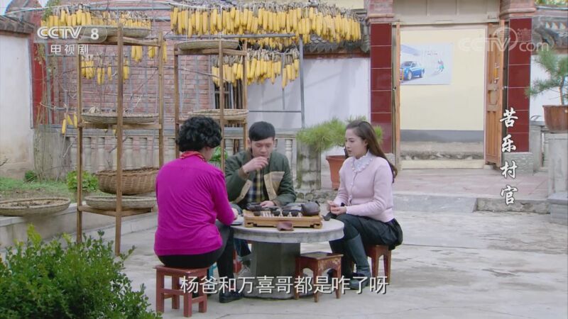 《苦乐村官 第16集