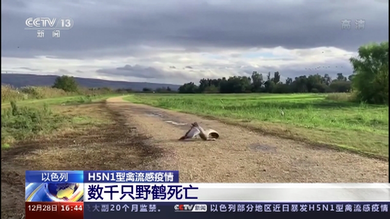 [新闻直播间]以色列 H5N1型禽流感疫情 数千只野鹤死亡_CCTV节目官网-CCTV-13_央视网(cctv.com)
