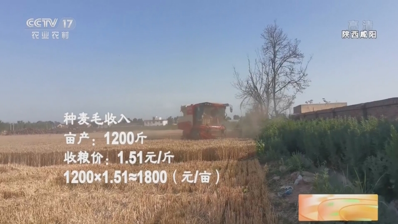 [中国三农报道]麦收账_CCTV节目官网-CCTV17_央视网(cctv.com)