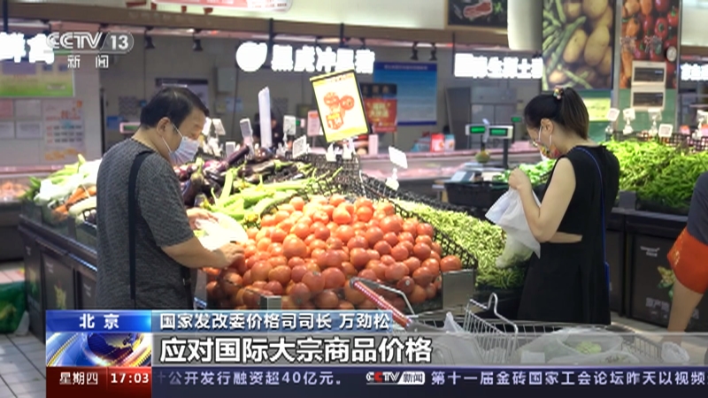 [新闻直播间]中国经济半年报·国家发改委 全年3%左右CPI预期目标可以实现_CCTV节目官网-CCTV-13_央视网(cctv.com)