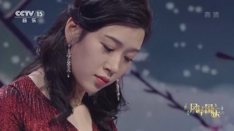 [风华国乐]《纳兰思》 演奏：丁雪儿_CCTV节目官网-CCTV-15_央视网(cctv.com)