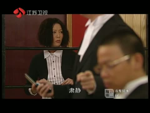  斗智 情缘( 电视剧 )