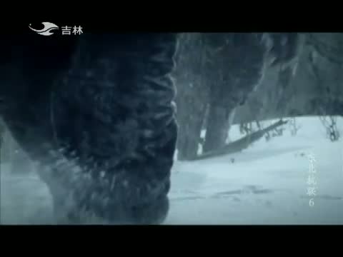 八集 纪录片《东北抗联》 - 吉祥爺J.X - 睡醒的雄獅 A lion has awa 八集 纪录片《东北抗联》 - 吉祥爺J.X - 睡醒的雄獅 A lion has awa