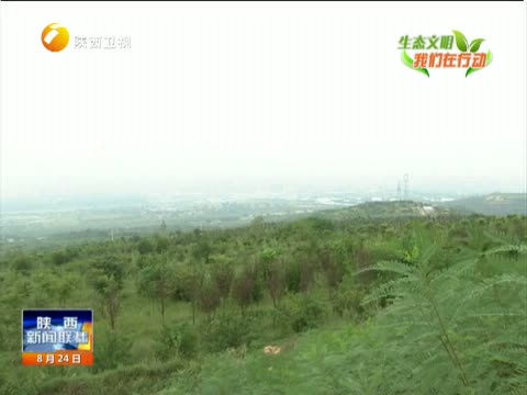 央视搜索_65jjj<em>最新地址</em>百度搜【度娘<em>影院</em>】ww