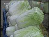 MUNDO AL MINUTO 2009-11-19 19：00
