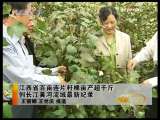 [聚焦三农]耕牛被盗之后(2009.11.3)-3