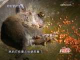 [�Ƽ�Է]�����(2)������ز�����(2009.11.3)