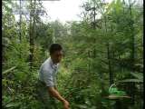 ��ɫʱ�� 2010-02-07
