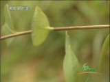 ��ɫʱ�� 2010-03-28