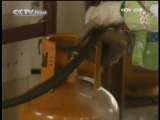 Бизнес 30 2009-11-23 23：00
