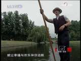 达尔文远航前的求婚