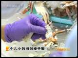 [ÿ��ũ��]����С��ӵ������з(2010.2.3)