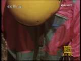 �������������ܡ��Ų�������